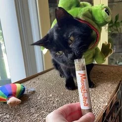 Meowijuana Get A Rise Balloon Refillable Plush Cat Toy With Catnip 8 Meowijuana Get A Rise Balloon Refillable Plush Cat Toy With Catnip -Cat Products Store 363610 PT2. AC SS1800 V1643906484