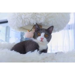 Catry 75-in Scratching Posts Condo Cat Tree, Beige -Cat Products Store 373043 PT8. AC SS1800 V1647028285