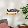 Frisco Cushioned Wall Mounted Cat Wall Shelf -Cat Products Store 373443 MAIN. AC SS1800 V1673025637