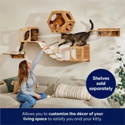 Frisco Cushioned Wall Mounted Cat Wall Shelf -Cat Products Store 373443 PT3. AC SS1800 V1675692706