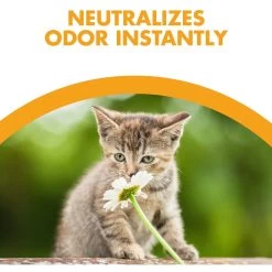 Feline Pine Original Non-Clumping Wood Cat Litter -Cat Products Store 47407 PT3. AC SS1800 V1663797194