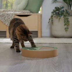 Frisco Interactive Maze & Scratch Cardboard Cat Toy Box With Catnip, Palms -Cat Products Store 506130 PT4. AC SS1800 V1669212028