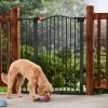 Frisco Outdoor Steel Arch Extra Tall Auto-Close Dog Gate 2 Frisco Outdoor Steel Arch Extra Tall Auto-Close Dog Gate -Cat Products Store 507102 MAIN. AC SS1800 V1668736255