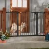 Frisco Outdoor Steel Arch Extra Wide Auto-Close Dog Gate -Cat Products Store 507118 MAIN. AC SS1800 V1668737294