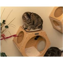 Armarkat Real Wood Cat Wall Additions, Natural Beige, 2 Count -Cat Products Store 515630 PT5. AC SS1800 V1649349399