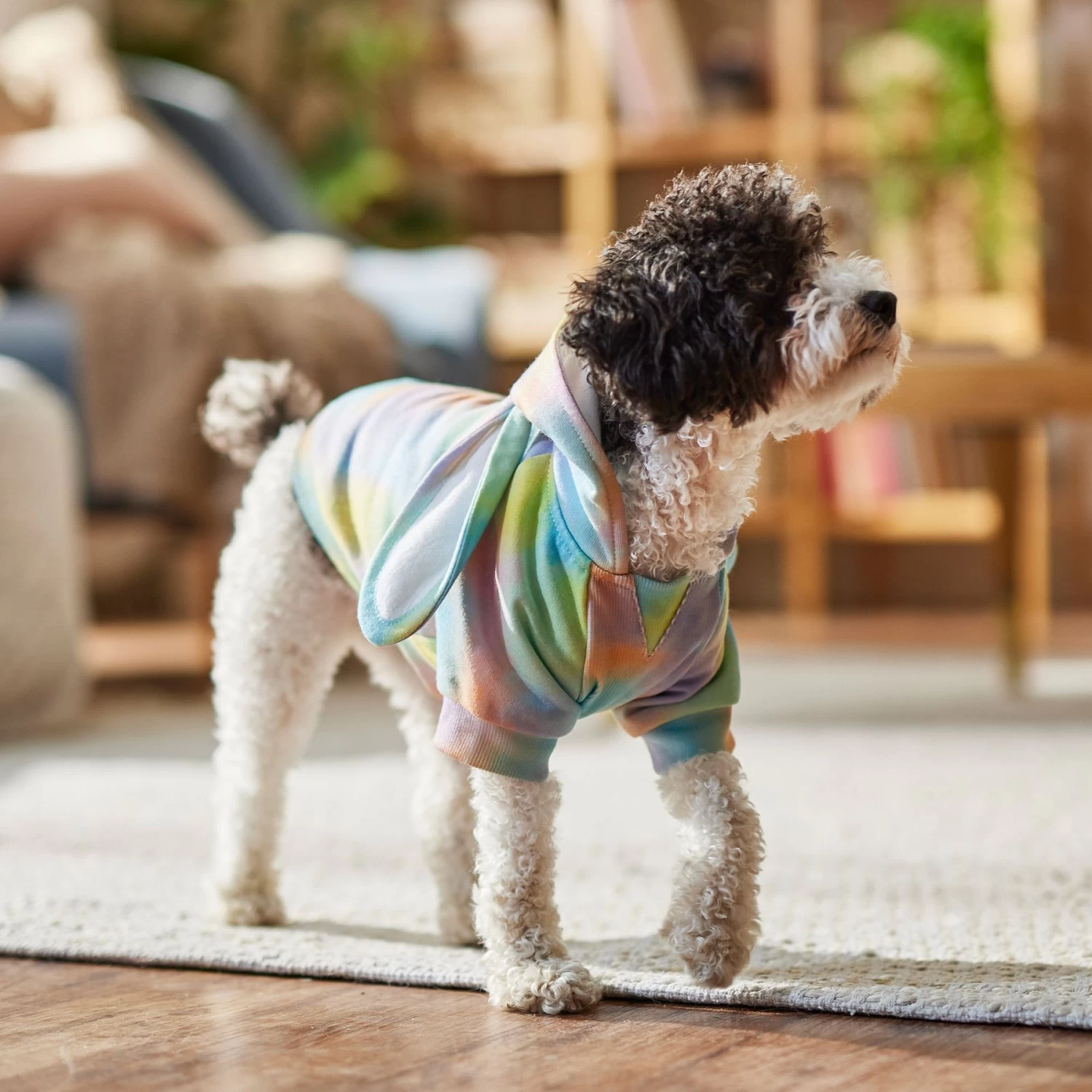 Frisco Wash Effect Bunny Ear Hoodie 10 Frisco Wash Effect Bunny Ear Hoodie - Image 8