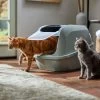 Frisco Mega Deluxe Litter Box 2 Frisco Mega Deluxe Litter Box -Cat Products Store 526526 MAIN. AC SS1800 V1659623787