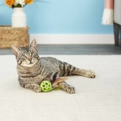 JW Pet Cataction Feather Ball With Bell Cat Toy -Cat Products Store 53412 PT7. AC SS1800 V1526316604