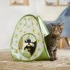 Frisco Spring Daisy Pop-Up Tent Cat Toy With Catnip -Cat Products Store 541574 MAIN. AC SS1800 V1671814454
