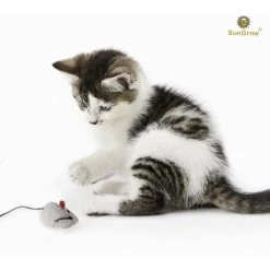 SunGrow Teething Chews Cat & Ferret Chase & Kicker Mouse Plush Toy, 5 Count 9 SunGrow Teething Chews Cat & Ferret Chase & Kicker Mouse Plush Toy, 5 Count -Cat Products Store 541654 PT1. AC SS1800 V1673561010