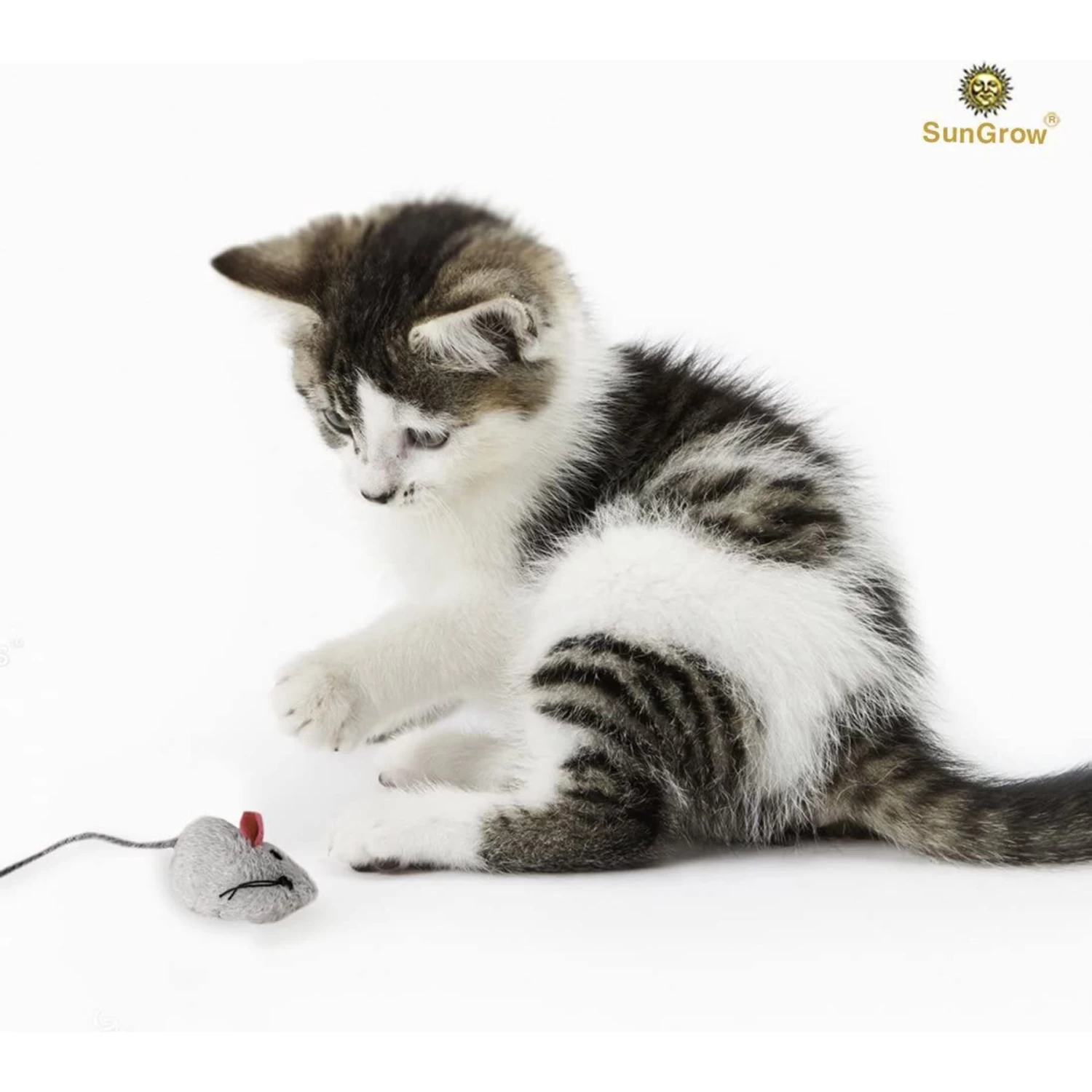 SunGrow Teething Chews Cat & Ferret Chase & Kicker Mouse Plush Toy, 5 Count 4 SunGrow Teething Chews Cat & Ferret Chase & Kicker Mouse Plush Toy, 5 Count - Image 2