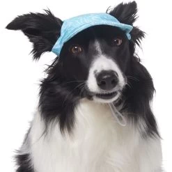 Frisco Blue Ocean Waves 30 + UPF Dog & Cat Beach Cap -Cat Products Store 556182 PT3. AC SS1800 V1677530963