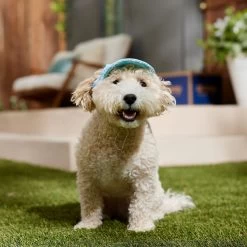 Frisco Blue Ocean Waves 30 + UPF Dog & Cat Beach Cap -Cat Products Store 556182 PT5. AC SS1800 V1675714092