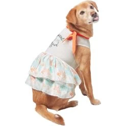 Frisco Tropical State Of Mind Dog & Cat Dress -Cat Products Store 556742 PT3. AC SS1800 V1675103177