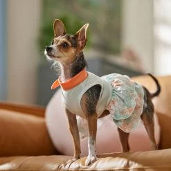Frisco Tropical State Of Mind Dog & Cat Dress -Cat Products Store 556742 PT5. AC SS1800 V1675101933