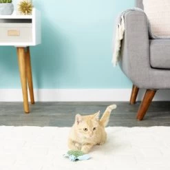 KONG Refillable Turtle Catnip Cat Toy -Cat Products Store 59302 PT5. AC SS1800 V1603162890