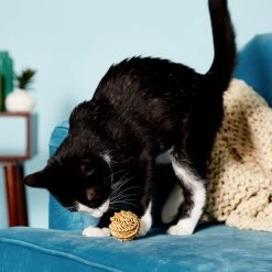 KONG Naturals Straw Balls Cat Toy -Cat Products Store 59317 PT7. AC SS1800 V1515695745