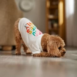 Frisco Good Vibes Only Dog & Cat T-Shirt -Cat Products Store 608518 PT7. AC SS1800 V1676644453