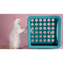 Kitty Kasa Snap On Recreation Cat House -Cat Products Store 622038 PT2. AC SS1800 V1663191239