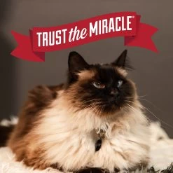 Nature's Miracle Intense Defense Scented Clumping Clay Cat Litter -Cat Products Store 633374 PT6. AC SS1800 V1667947582