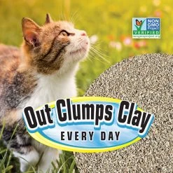 SmartCat All Natural Lightweight Corn & Wheat Clumping Cat Litter 9 SmartCat All Natural Lightweight Corn & Wheat Clumping Cat Litter -Cat Products Store 635446 PT3. AC SS1800 V1666839122