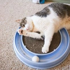 Bergan Scratcher Replacement Pads, 2 Count -Cat Products Store 64228 PT4. AC SS1800 V1673648563