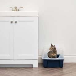 IRIS USA Open Top Litter Box With Scatter Shield 13 IRIS USA Open Top Litter Box With Scatter Shield -Cat Products Store 65498 PT2. AC SS1800 V1680803978