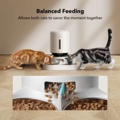 Petlibro Granary Automatic Two Cat & Dog Feeder With Camera -Cat Products Store 661270 PT6. AC SS1800 V1665174479