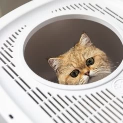 Hanamya Cat Front Entry Top Exit Cat Litter Box With Scoop, X-Large -Cat Products Store 677158 PT5. AC SS1800 V1680728859