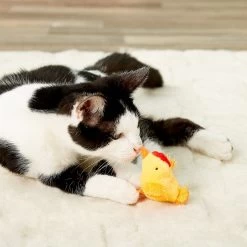Multipet Look Who's Talking Chicken Plush Cat Toy With Catnip 11 Multipet Look Who's Talking Chicken Plush Cat Toy With Catnip -Cat Products Store 68011 PT5. AC SS1800 V1525720044