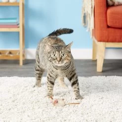 Fat Cat Eeeks! Cat Toy With Catnip, Color Varies, 1 Count 11 Fat Cat Eeeks! Cat Toy With Catnip, Color Varies, 1 Count -Cat Products Store 68613 PT5. AC SS1800 V1525718689