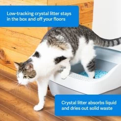 PetSafe ScoopFree Premium Crystal Litter 2-Pack & PetSafe ScoopFree Complete Reusable Litter Tray -Cat Products Store 694158 PT2. AC SS1800 V1668532511