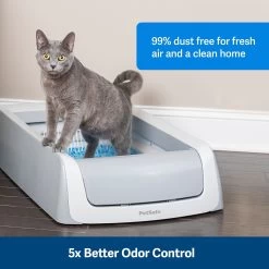 PetSafe ScoopFree Premium Crystal Litter 2-Pack & PetSafe ScoopFree Complete Reusable Litter Tray -Cat Products Store 694158 PT3. AC SS1800 V1668531877