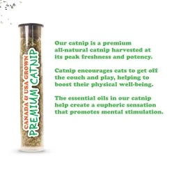 Meowijuana Refillable Get Hung Moon & Stars Cat Toy -Cat Products Store 696614 PT3. AC SS1800 V1669386937