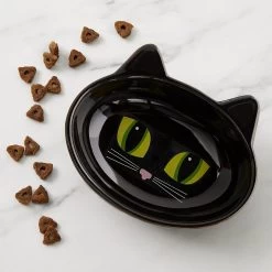 PetRageous Designs Frisky Kitty Oval Cat Dish -Cat Products Store 70333 PT2. AC SS1800 V1542236361