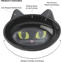 PetRageous Designs Frisky Kitty Oval Cat Dish -Cat Products Store 70333 PT5. AC SS1800 V1660340873