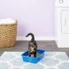 Van Ness Cat Litter Pan, Blue