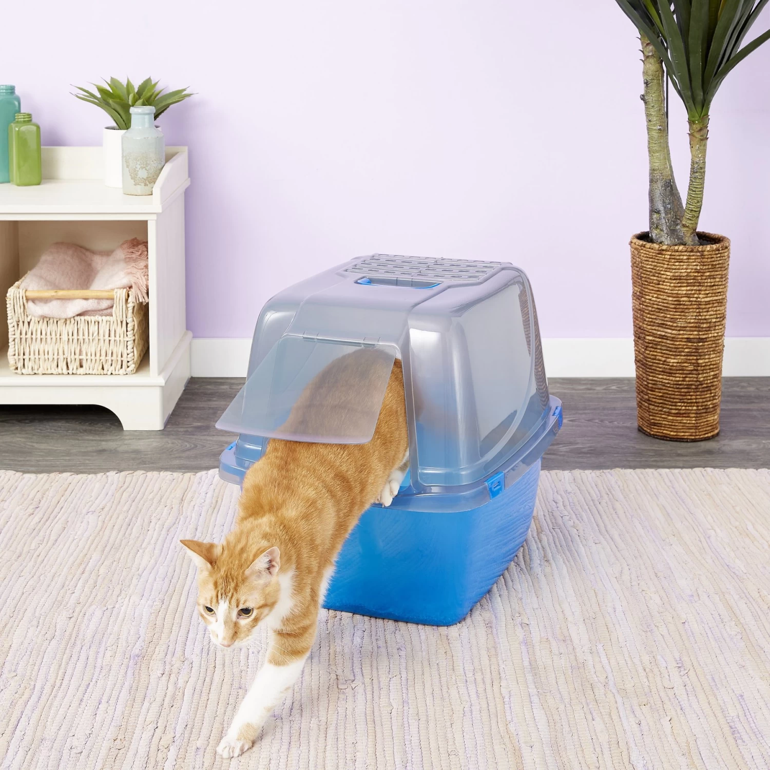Van Ness Translucent Enclosed Cat Litter Pan 3 Van Ness Translucent Enclosed Cat Litter Pan
