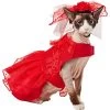 Frisco Red Ruffle Dog & Cat Dress + Headpiece -Cat Products Store 707286 MAIN. AC SS1800 V1689341622