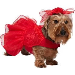 Frisco Red Ruffle Dog & Cat Dress + Headpiece -Cat Products Store 707286 PT2. AC SS1800 V1689355022