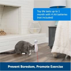 PetSafe Bolt Interactive Laser Cat Toy -Cat Products Store 70843 PT5. AC SS1800 V1676317808