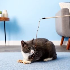 Ethical Pet Skinneeez Friend Teaser Wand Cat Toy With Catnip -Cat Products Store 71317 PT5. AC SS1800 V1525718914