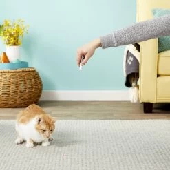 Ethical Pet Laser Exerciser Original 2 In 1 Dog & Cat Toy 15 Ethical Pet Laser Exerciser Original 2 In 1 Dog & Cat Toy -Cat Products Store 71427 PT5. AC SS1800 V1553880443