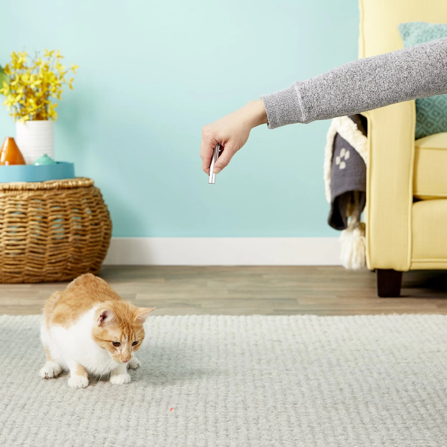 Ethical Pet Laser Exerciser Original 2 In 1 Dog & Cat Toy 8 Ethical Pet Laser Exerciser Original 2 In 1 Dog & Cat Toy - Image 6