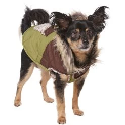 Frisco Heavy Weight 2-Tone Sherpa Lined Hybrid Quilted Dog & Cat Parka -Cat Products Store 718038 PT2. AC SS1800 V1703184683