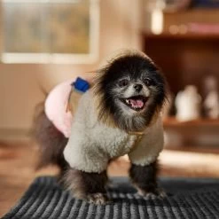 Frisco Colorblock Fleece Dog & Cat Hoodie W/ Pocket 18 Frisco Colorblock Fleece Dog & Cat Hoodie W/ Pocket -Cat Products Store 718278 PT7. AC SS1800 V1692375977