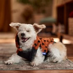 Frisco Dotted Dog & Cat Hoodie -Cat Products Store 718326 PT7. AC SS1800 V1692375977