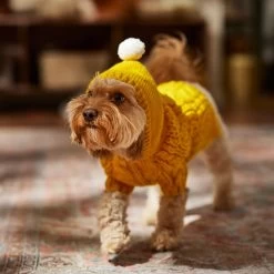 Frisco Sherpa Lined Chunky Cable Knit Dog & Cat Hooded Sweater -Cat Products Store 718374 PT7. AC SS1800 V1692379031