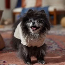 Frisco Sherpa Lined Chunky Cable Knit Dog & Cat Sweater -Cat Products Store 718518 PT7. AC SS1800 V1692378338