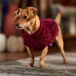 Frisco Cozy Textured Chenille Dog & Cat Sweater -Cat Products Store 718614 PT7. AC SS1800 V1692378337